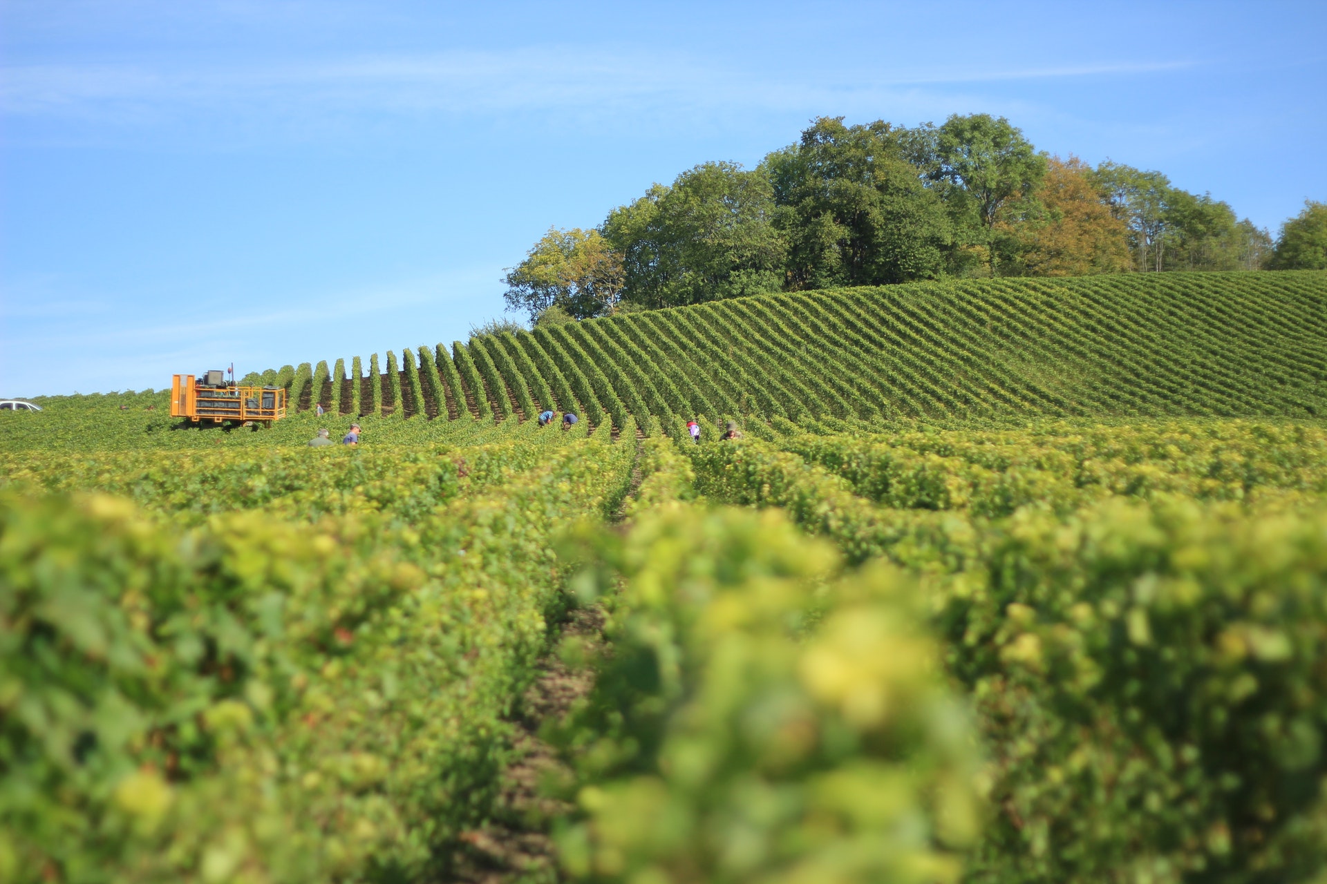 ALTERNATIVE PARTS FOR GRAPE HARVESTERS OF THE FOLLOWING BRANDS